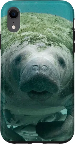 Vista 25 de Manatee Case for iPhone 17