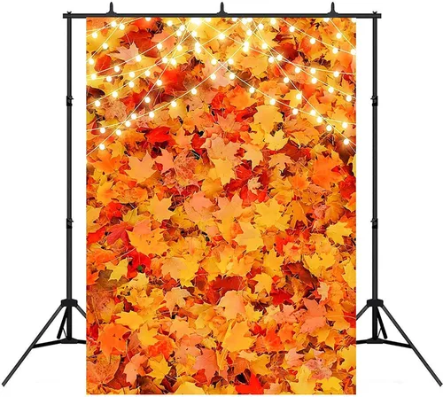 Vista 3 de Avezano Fondo de fotografía de paisaje de hojas de arce, bosque de otoño, cosecha, Acción de Gracias, fondo, decoración de fiesta, sesión de fotos