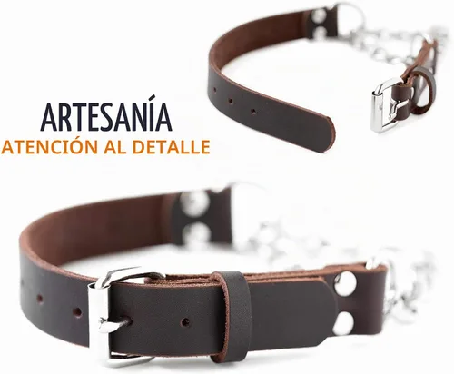 Vista 7 de Collar Martingala para Perros Mighty Paw - Diseño Anti-Tirón - Cadena de Acero Inoxidable - Entrenamiento Limitado con Correa de Cincha - Collar