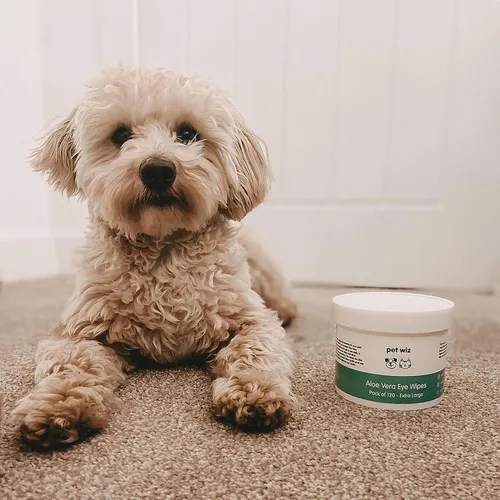 Vista 7 de pet wiz Toallitas de ojos de aloe vera para limpiar perros y gatos - Extra grandes