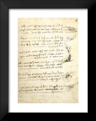 Vista 2 de ArtDirect Da Vinci, Leonardo 19x24 - Lámina enmarcada moderna negra titulada: Códice sobre el vuelo de las aves I