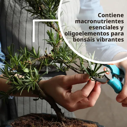 Vista 7 de Dyna-Gro BON-008 Bonsai-Pro Fertilizante líquido para plantas 7-9-5, 8 onzas. Fórmula completa con macronutrientes esenciales y oligoelementos