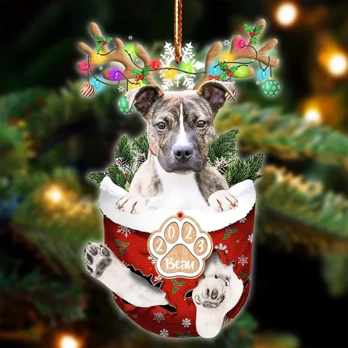 Vista 97 de NAZENTI Adorno Navideño de Bolsillo Personalizado de Affenpinscher en la Nieve, Adorno de Forma Acrílica de Perro, Adorno de Navidad 2023, Adorno
