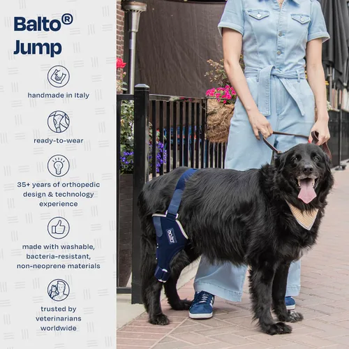 Vista 6 de Balto Jump Dog - Rodillera ortopédica ACL/CCL (grande, pierna derecha)