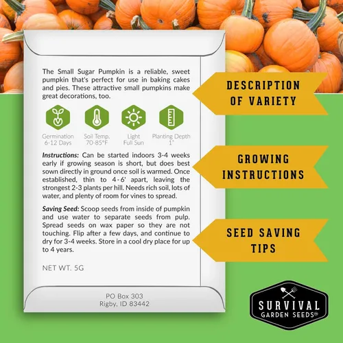 Vista 2 de Survival Garden Seeds - Semillas pequeñas de calabaza de azúcar para plantar - 1 paquete con instrucciones para cultivar calabazas de pastel