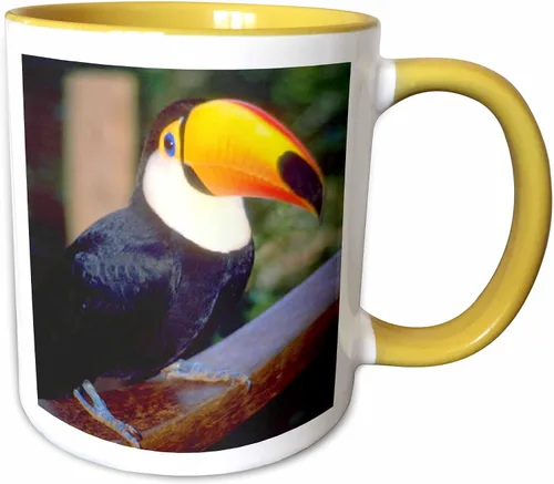 Vista 9 de 3dRose Florene Birds - Tucán - Tazas (mug_17933_9)