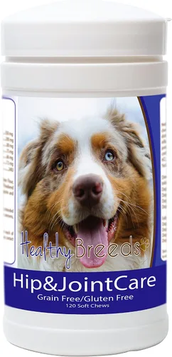 Vista 19 de Healthy Breeds Afghan Hound - Cuidado de cadera y articulaciones, 120