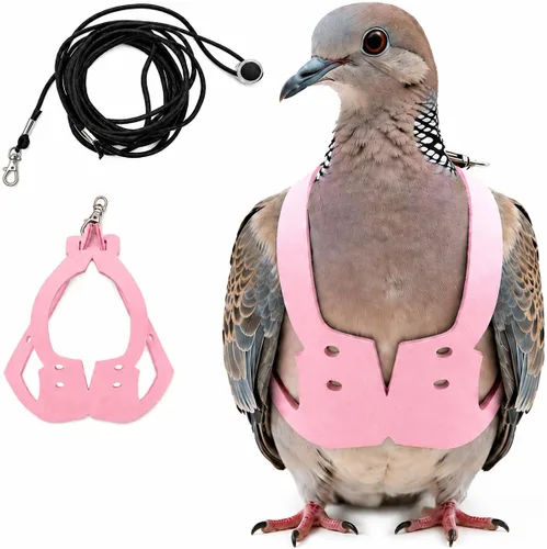 Vista 13 de Juego de arnés ajustable y correa para pájaros pequeños, apto para periquitos, conures, cacatúas, mejillas verdes, loros cuáqueros (verde, XS) 6350-6