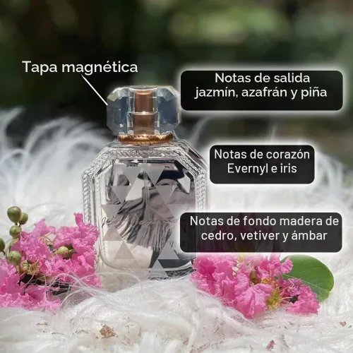 Vista 6 de HOOEY West Desperado Perfume para mujer, perfume cítrico de larga duración para mujeres con notas de jazmín, azafrán, madera de cedro, ámbar y más