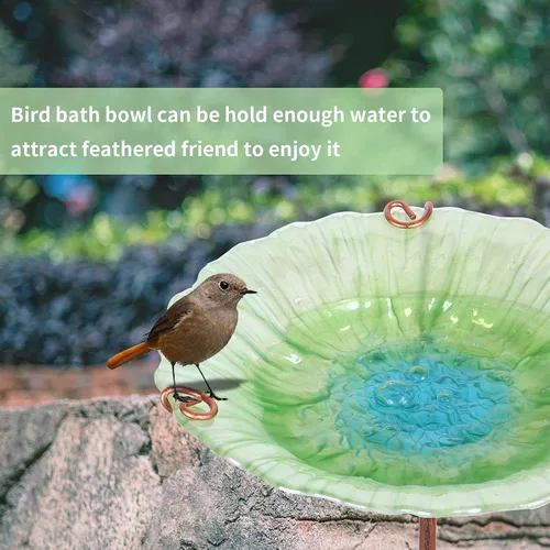 Vista 2 de Baño de cristal para pájaros, comedero verde para pájaros