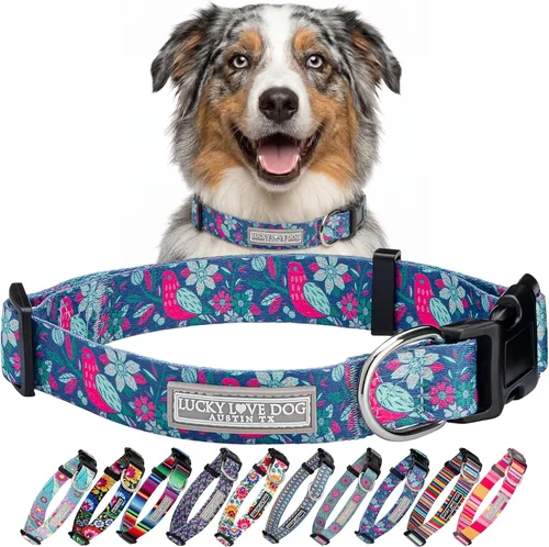 Vista 22 de Lucky Love Dog - Collar para perras pequeñas, diseño Blackbird de estampado alegre con flores de primavera y verano, talla XS Collar Blackbird