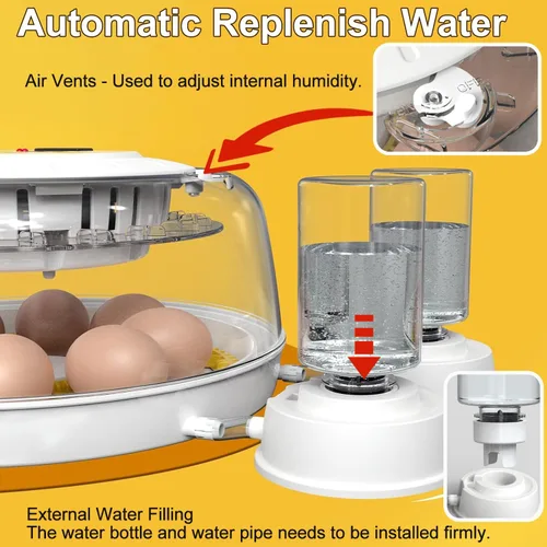 Vista 5 de 18 incubadoras de huevos para incubar huevos, volteador automático de huevos y probador de velas de huevos, vista de 360 grados, incubadora