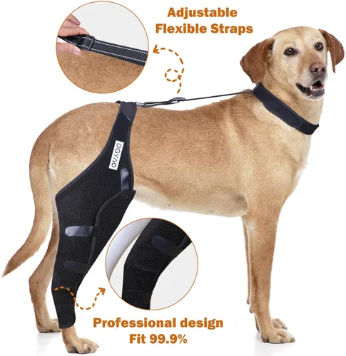 Vista 2 de Rodillera para perro para ACL, dislocación de la rodilla, artritis, envoltura completa, fácil ajustable, soporte adicional, reduce el dolor