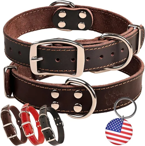 Vista 11 de Collar de perro de cuero negro resistente, collar de perro suave y fuerte para cachorros o razas pequeñas