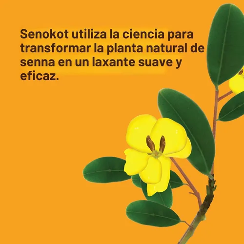 Vista 7 de Senokot Laxante vegetal natural extra fuerte para un alivio suave durante la noche estreñimiento ocasional, 36
