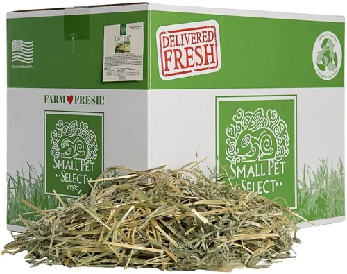 Vista 8 de Small Pet Select Alimento para mascotas con heno de avena, 10 libras.