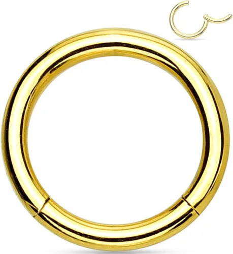 Vista 81 de Forbidden Body Jewelry - Piercing para la nariz de acero quirúrgico 316L con bisagra, 14G, 16G, 18G, diámetro de 15/64, 5/16, 25/64, 15/32 pulgadas