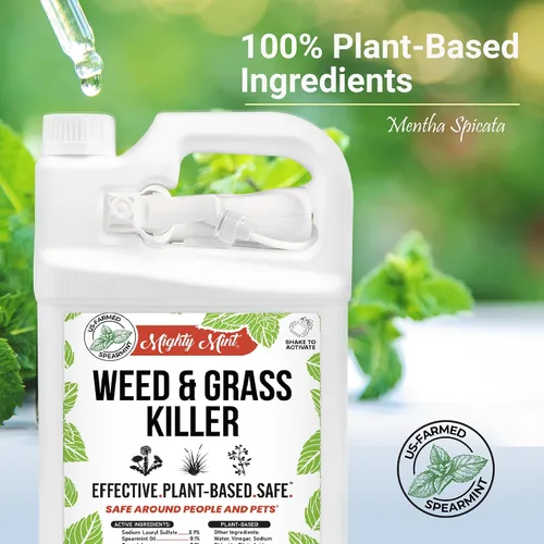 Vista 4 de Herbicida y hierba – Vinagre natural y sal – 1 galón – Sin glifosato
