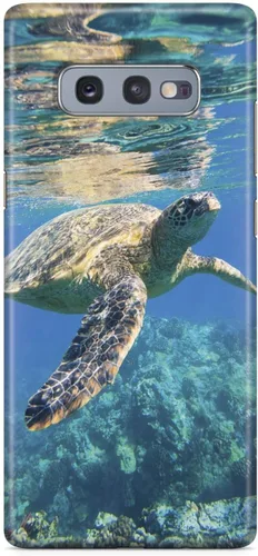 Vista 23 de Inspired Cases - Compatible con iPhone 8 Plus - Funda protectora con textura 3D para Apple iPhone 8 Plus - Tortuga marina submarina
