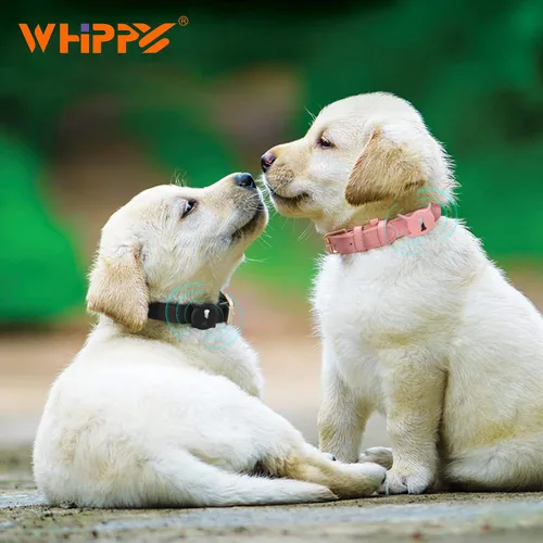 Vista 5 de WHIPPY Airtag Collar de Cuero para Perro Rastreador GPS Air Tag Collar de Cachorro Ajustable de Cuero Suave Acolchado con Estuche Porta Airtag