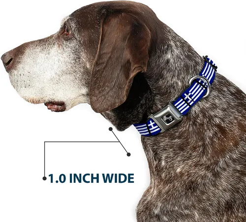 Vista 6 de Buckle-Down Collar de perro con hebilla de cinturón de seguridad, banderas de Grecia, 1 pulgada de ancho, se adapta a cuello de 9 a 15 pulgadas
