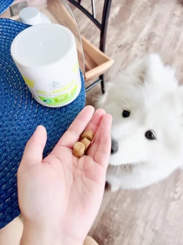 Vista 2 de Four Paws Healthy Promise Pre y probióticos para perros masticables suaves 90 unidades Savory chicken flavor soft chews, 1 billion CFU, with