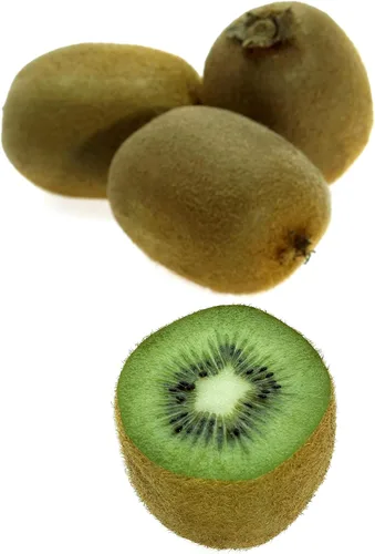 Vista 2 de Semillas de kiwi para plantar 50 Seeds Actinidia chinensis Seeds