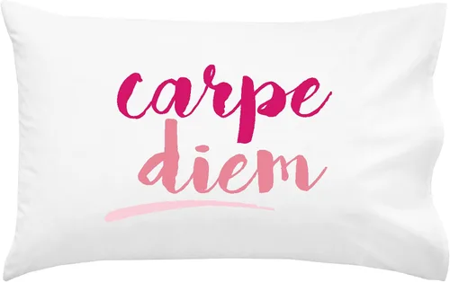 Vista 14 de Oh, Susannah Carpe Diem - Funda de almohada cursiva de 18 x 18 pulgadas, fundas de almohada inspiradoras doradas