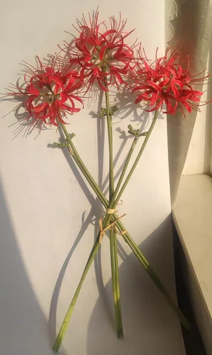 Vista 3 de Calcifer 3 tallos de lirios de araña roja, flores artificiales, bulbos de Lycoris (rojo)
