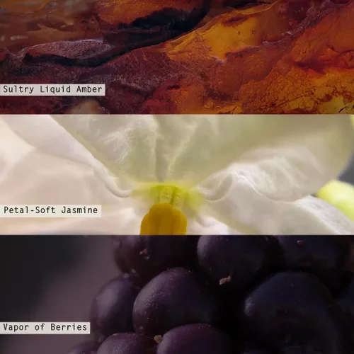 Vista 2 de Bellamente Done Essentials BlackBerry Absinthe - Recambio de vela perfumada