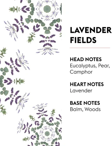 Vista 3 de Recambio de ramo perfumado - Campos de lavanda - 6.8 fl oz/6.76oz