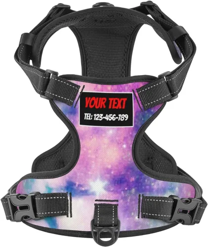 Vista 22 de Arnés personalizado para perro sin tirones, chaleco personalizado de hueso de perro con nombre de mascota, arnés reflectante ajustable personalizado