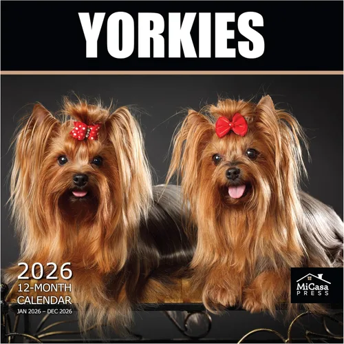 Vista 38 de MICASA PRESS Calendario de pared de Australian Shepherds Aussies 2027 02 - Pastores australianos