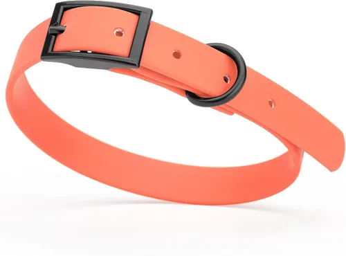 Vista 39 de Dogline Biothane - Collar impermeable para perro con hebilla de liberación rápida, resistente cincha de nailon recubierta con resistente y a prueba