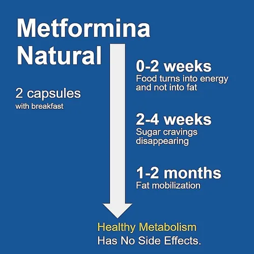 Vista 4 de METFORMINA Natural - Ayuda para bajar de peso - Apoyo al metabolismo - Dr. Salomon (60 cápsulas)