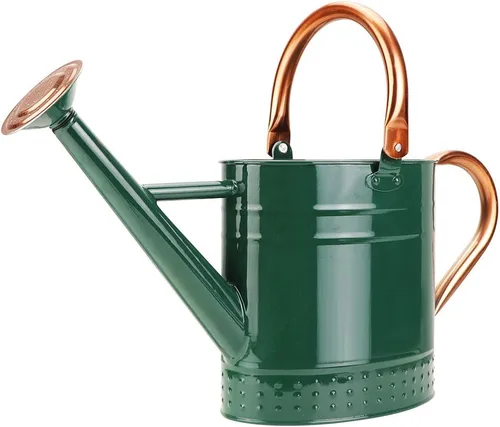 Vista 8 de Regadera de metal de 1 galón con boquilla extraíble, bonita lata de agua de acero galvanizado con diseño en relieve para plantas