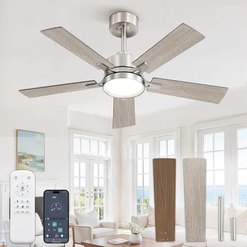 Vista 14 de 52 Inch Ceiling Fan with Lights,APP&Remote Control,DC Motor Black