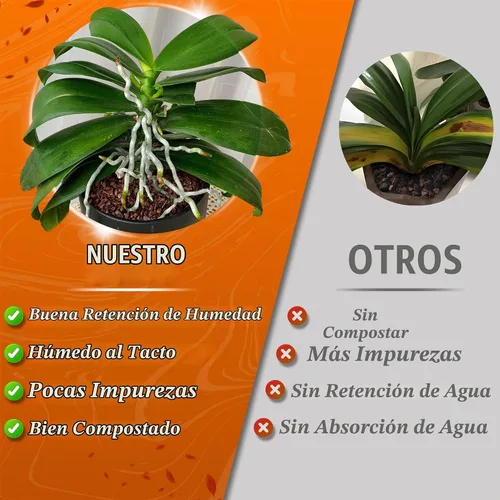 Vista 5 de AVALUTION Corteza para macetas de orquídeas: corteza de orquídea orgánica de 3 cuartos para plantas, todos los chips de madera de corteza de pino