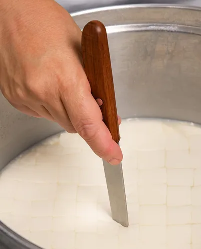Vista 4 de 20 x Cuajo TITANIUM® RENNET Comprimidos Para cualquier tipo de queso 20 TABLETAS PARA 1000L DE LECHE