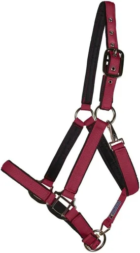 Vista 16 de Dura-Tech Cabestro de caballo de nailon totalmente acolchado Cabestro para caballo diseñado para evitar rozaduras Corona y bordillo de caballo