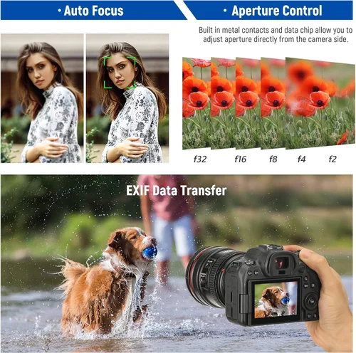 Vista 4 de NEEWER Adaptador de montaje EF a EOS R, lente EF/EF-S a cámara de montaje RF, anillo convertidor de enfoque automático compatible con Canon EOS R Ra