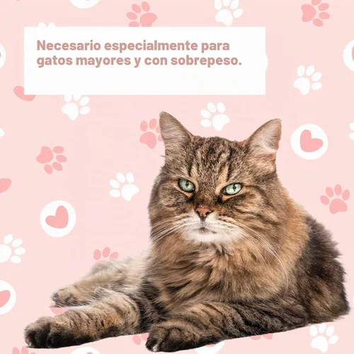Vista 3 de LifeLink 's Zobaline para gatos 3 mg x 60 tabletas