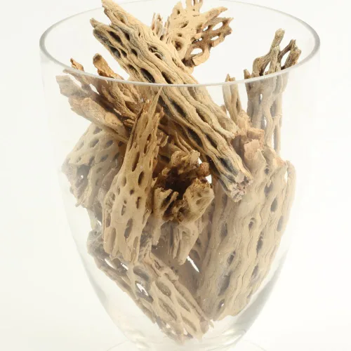 Vista 8 de Koyal Wholesale Ramas de acuario de madera de cholla natural, decoración de plantas de aire, perca de reptil, pieza de madera de cholla sin tratar