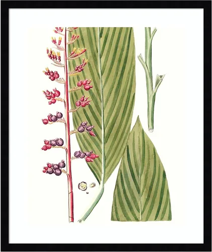 Vista 18 de Amanti Art Lienzo decorativo para pared enmarcado de 24 x 20 pulgadas, hojas de los trópicos III por Vision Studio, arte de pared de naturaleza