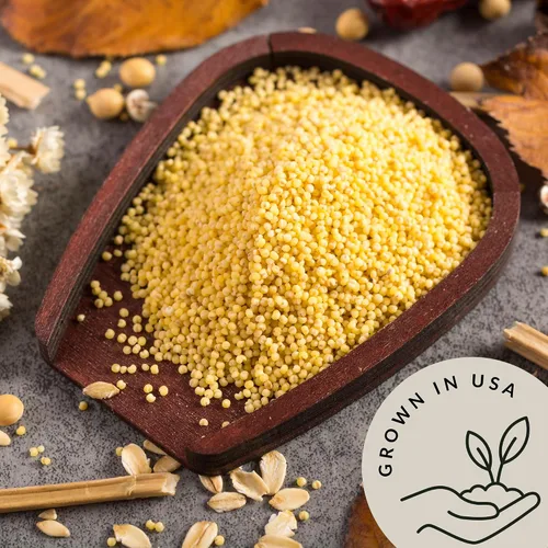 Vista 4 de Be Still Farms Grano de mijo descascarillado orgánico (5.8 libras) – Semillas de mijo entero a granel – Alto en fibra Cultivado en Estados Unidos