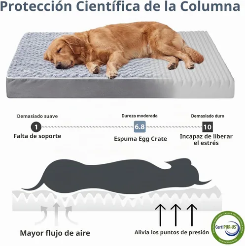 Vista 3 de WNPETHOME Camas ortopédicas lavables XL extra grandes para perros mayores Gris