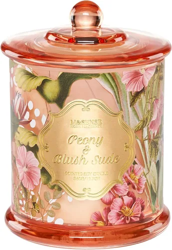 Vista 23 de M&SENSE Velas de Cítricos para el Hogar Aromáticas, Vela de Soja Orgánica Natural de 12.7oz 75 Horas de Larga Duración de Combustión Lenta, Vela