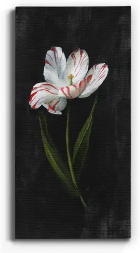 Vista 20 de Renditions Gallery Master Botanical II - Arte de pared, decoración en lienzo de alta calidad con envoltura de galería, listo para colgar, 16