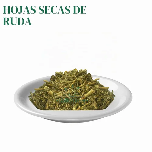 Vista 3 de RUE Hierbas Secas Ruda Seca, Ruda Graveolens, hojas y ramas de ruda Hojas Secas de Ruda (Ruta graveolens) Ingrediente Herbal Crudo (2 Onzas)