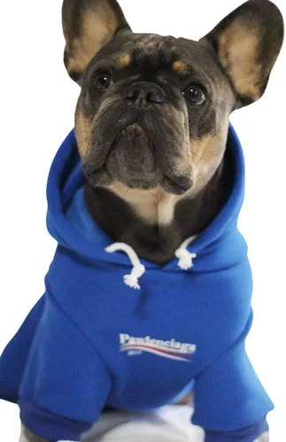 Vista 15 de ChoChoCho Sudadera con capucha y suéter para perros – Elegante ropa urbana de algodón para gatos y cachorros en gris – S, M, L